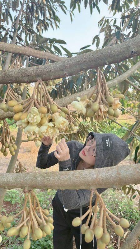 O Huyền Farm