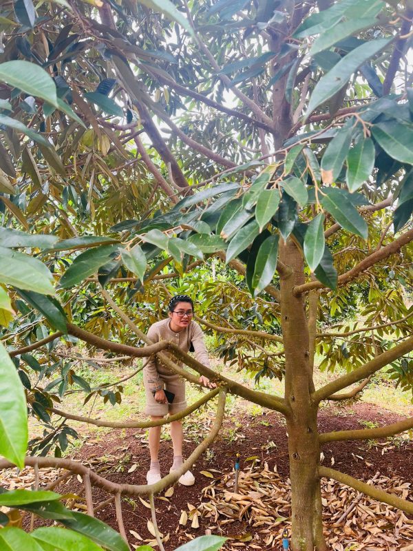 O Huyền Farm