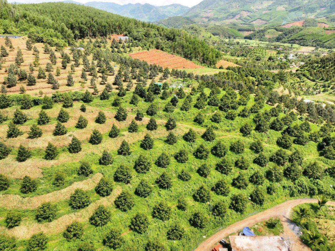 O Huyền Farm